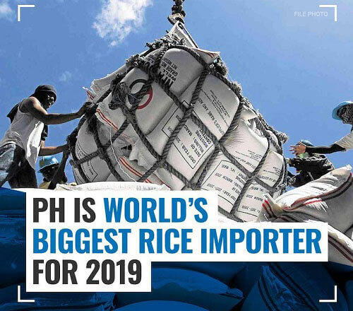 菲律宾大米进口量