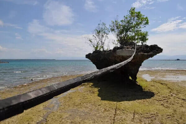 中国人不知道的菲律宾宿务岛上的20个鲜为人知的景点 2 Rio Rio Rock