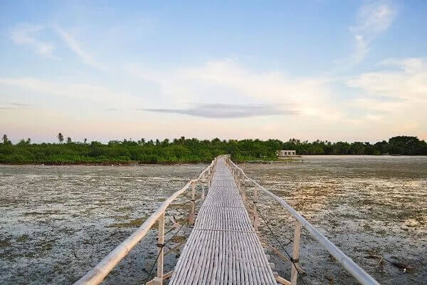 中国人不知道的菲律宾宿务岛上的20个鲜为人知的景点 9 Olango Marin Sanctuary