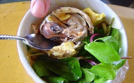 菲律宾毛鸭蛋-蔬菜沙拉
