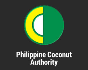 菲律宾椰子油