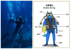 菲律宾潜水：考潜水证