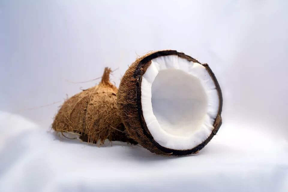 菲律宾椰子