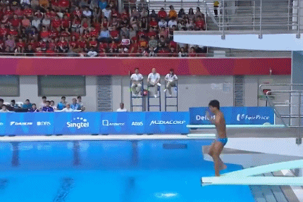 菲律宾奥运金牌数 ：菲律宾跳水队