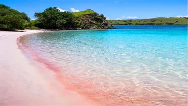 菲律宾粉红海滩
